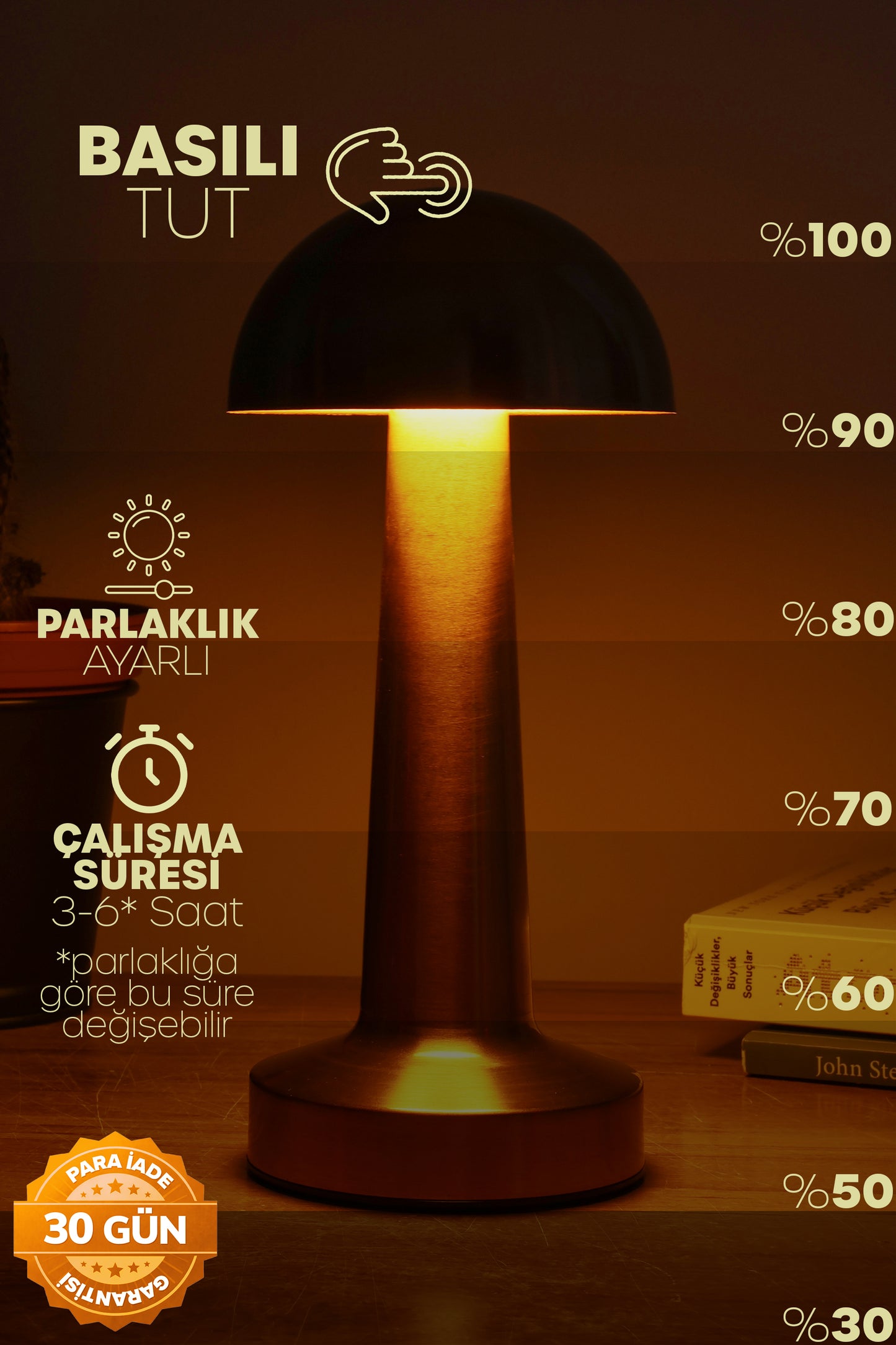 Led Mantarlight Masa Lambası